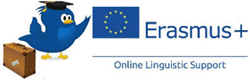 Online Linguistic Support